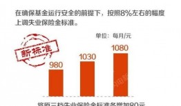 山东保险爆料最新,揭秘风险与机遇并存的新趋势