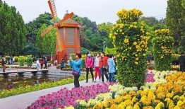 兰州植物园爆料事件视频,事件真相揭秘