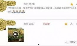 微视频爆料海口,城市魅力与生活点滴