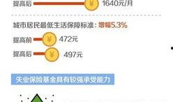 山东保险爆料最新,揭秘风险与机遇并存的新趋势