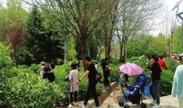 兰州植物园爆料事件视频,事件真相揭秘
