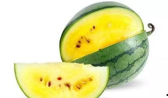 小冬瓜直播间娱乐圈吃瓜